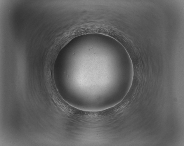 X0000074281489200608251304