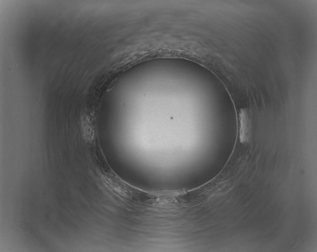 X0000074281491200608251304
