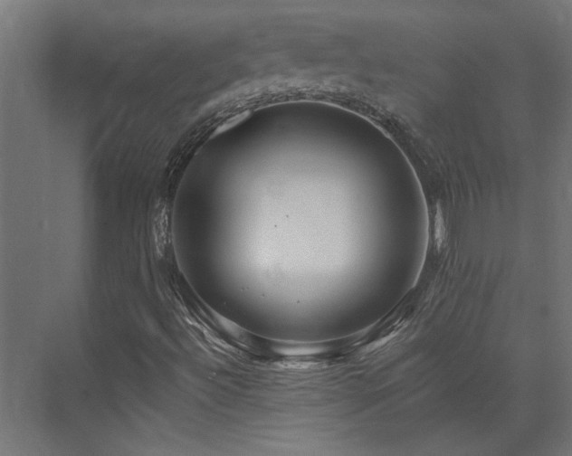 X0000074281492200608251304