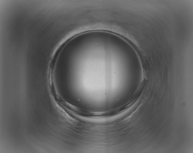 X0000074281510200608251305