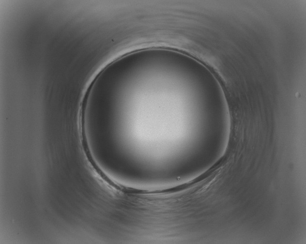 X0000074281516200608251305