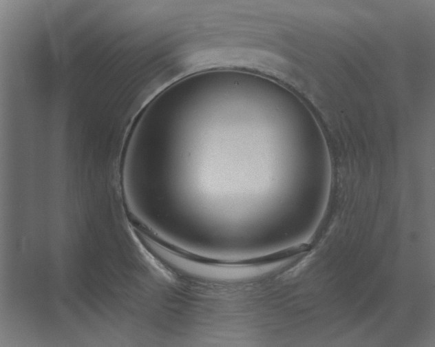 X0000074281521200608251305