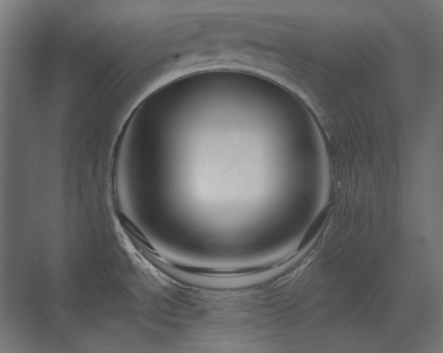 X0000074281534200608251305