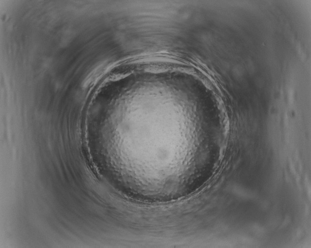 X0000074280002200609011353