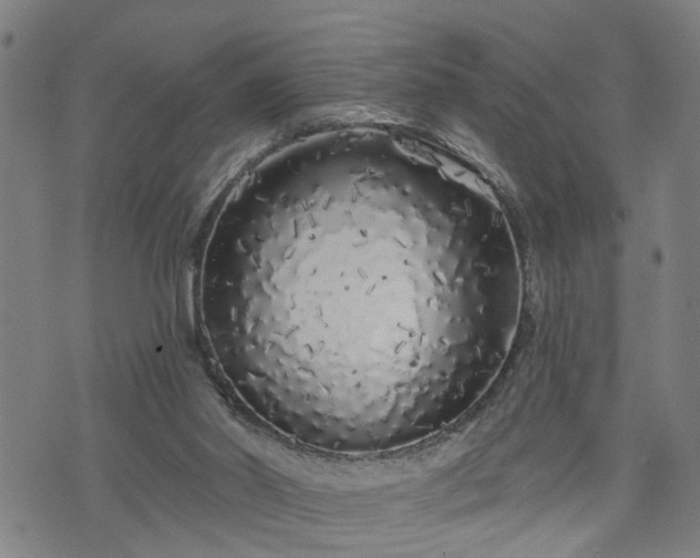 X0000074280014200609011353