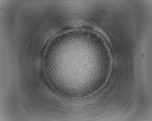 X0000074280018200609011353