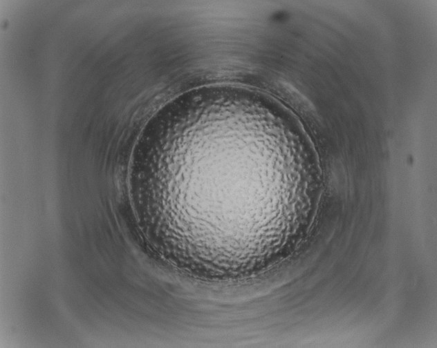 X0000074280026200609011353