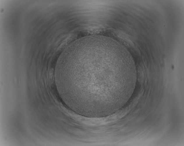 X0000074280034200609011353