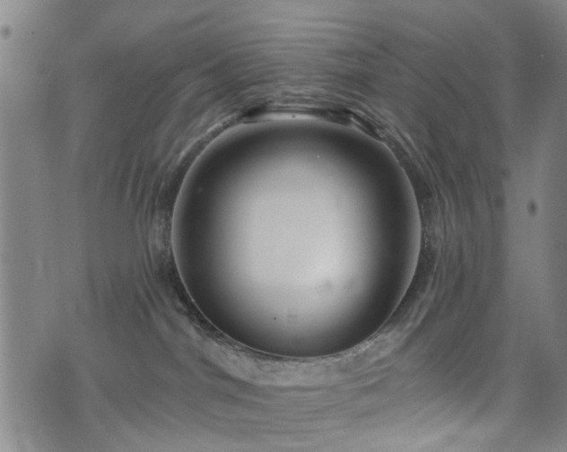 X0000074280044200609011353