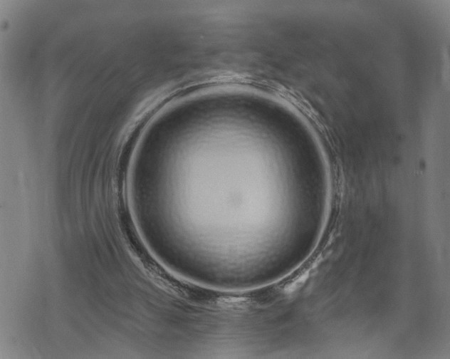 X0000074280055200609011352