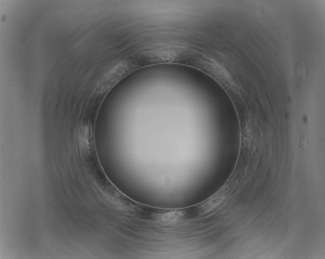 X0000074280122200609011351