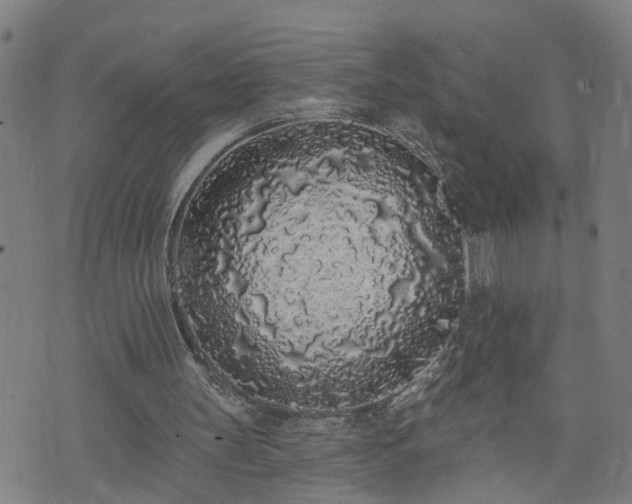 X0000074280147200609011350