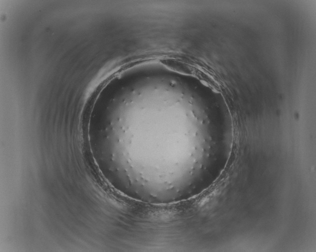 X0000074280198200609011350