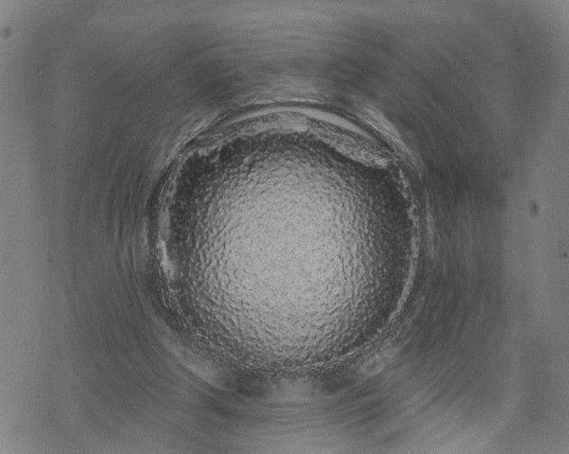X0000074280202200609011350
