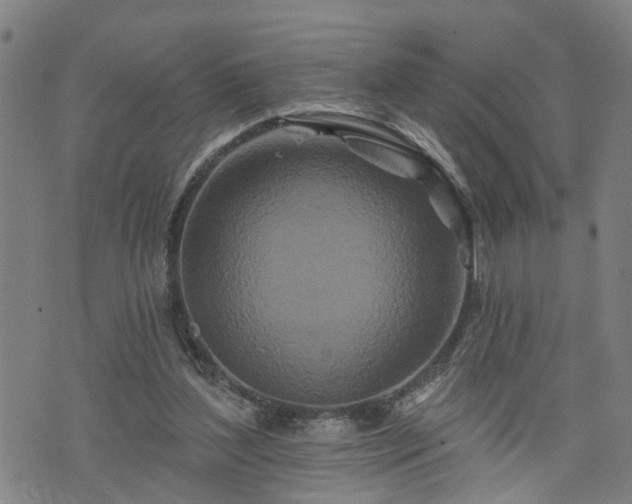X0000074280204200609011350