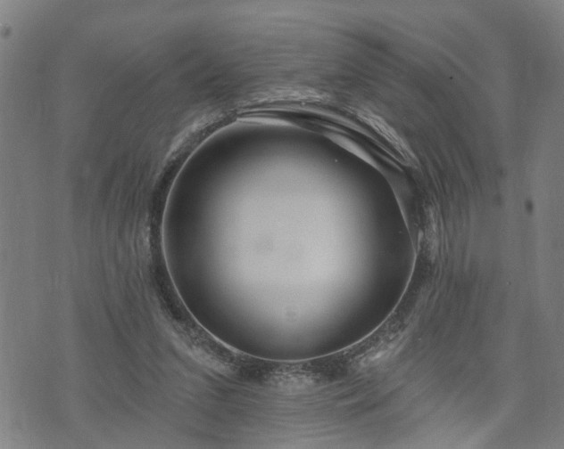X0000074280207200609011350