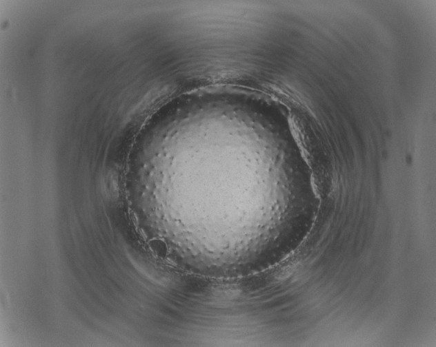 X0000074280214200609011350