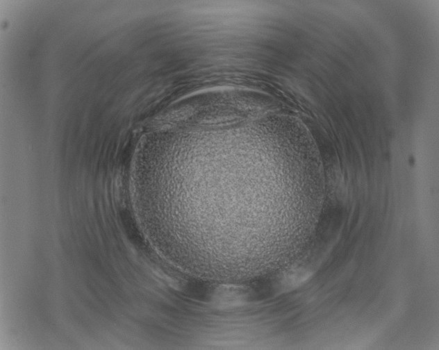 X0000074280222200609011350