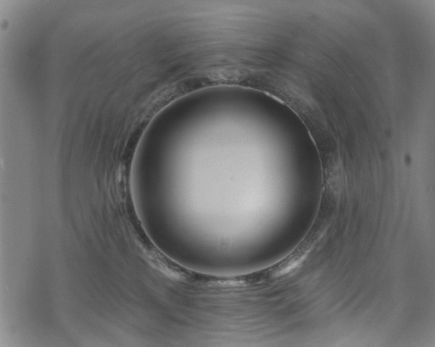 X0000074280233200609011350