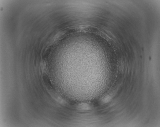 X0000074280236200609011350