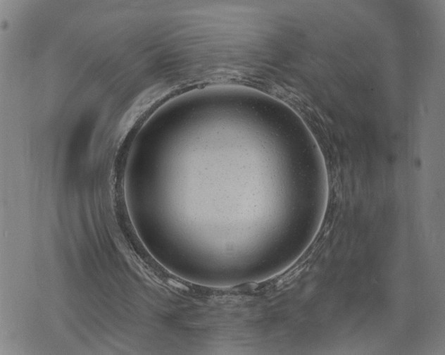 X0000074280242200609011349