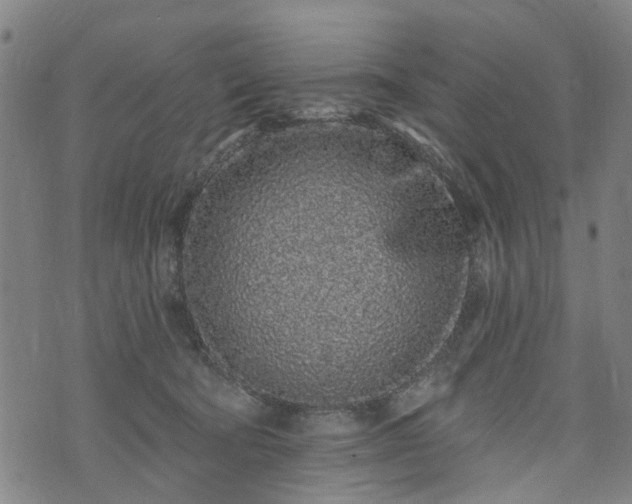 X0000074280322200609011348