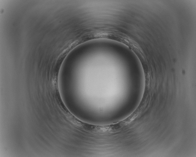 X0000074280329200609011348