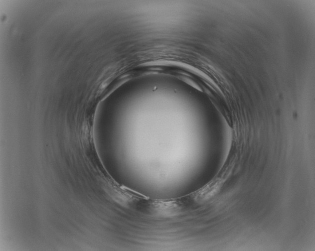 X0000074280333200609011348