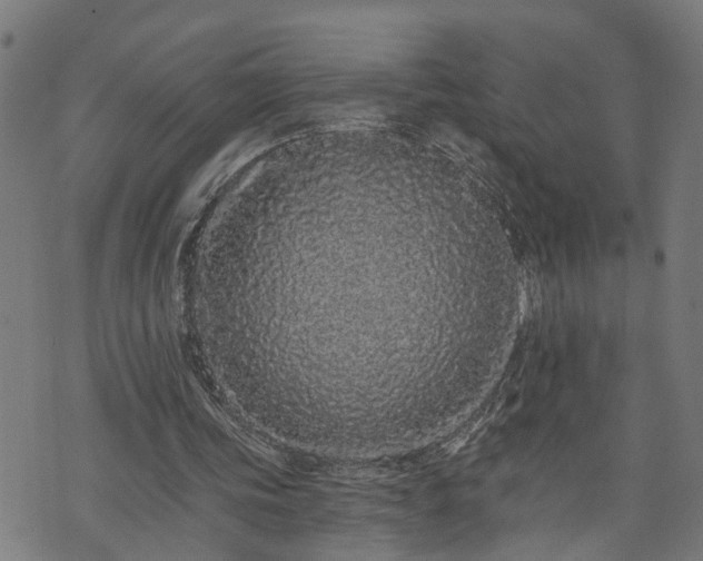 X0000074280339200609011347