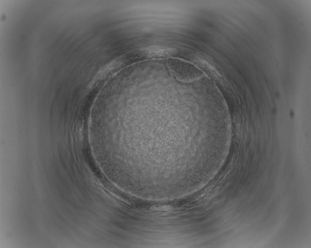 X0000074280357200609011347