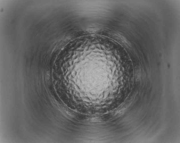 X0000074280365200609011348