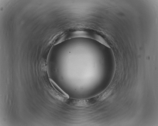 X0000074280384200609011348