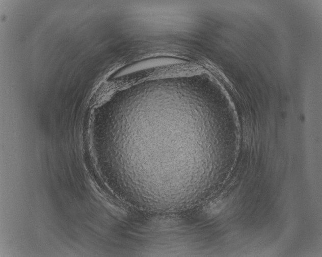 X0000074280386200609011347