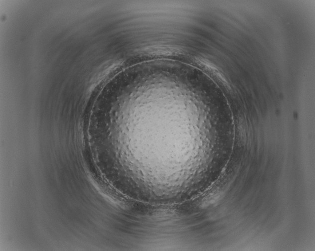 X0000074280398200609011347