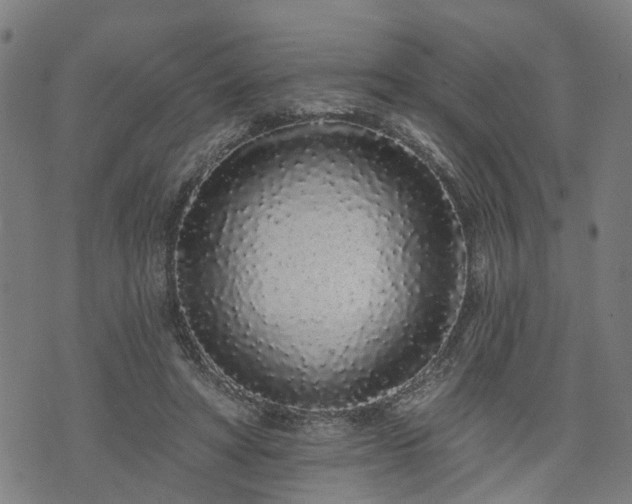 X0000074280402200609011347