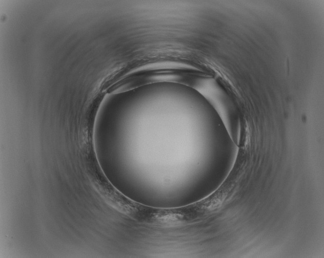 X0000074280407200609011347