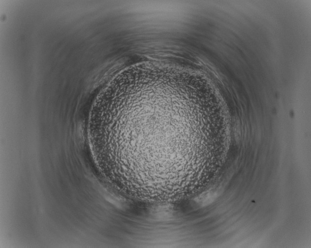 X0000074280410200609011347
