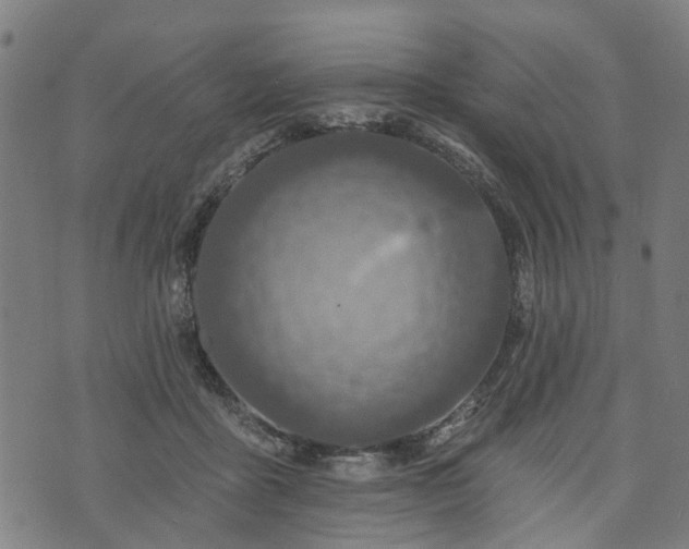 X0000074280411200609011347
