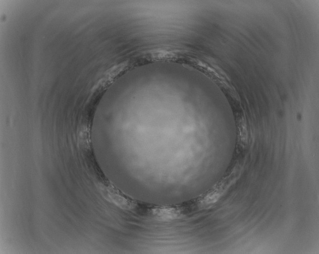 X0000074280419200609011347