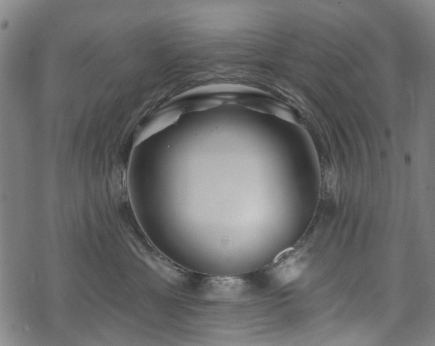 X0000074280429200609011346