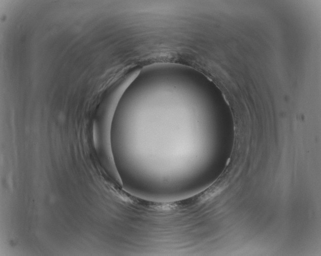 X0000074280432200609011346
