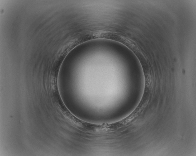 X0000074280470200609011346
