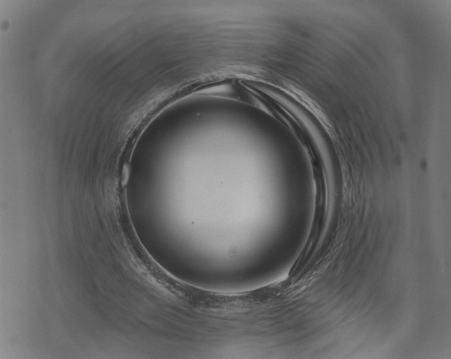 X0000074280485200609011345