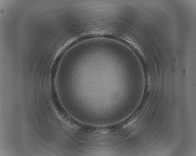 X0000074280492200609011345