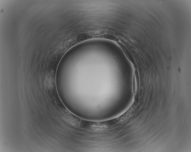 X0000074280515200609011345