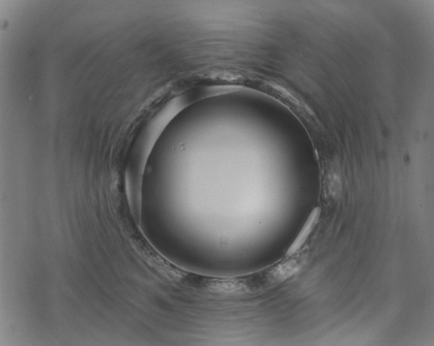 X0000074280521200609011345
