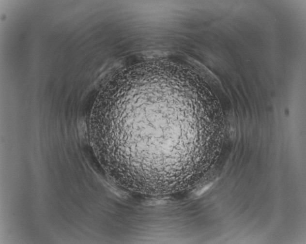 X0000074280523200609011345
