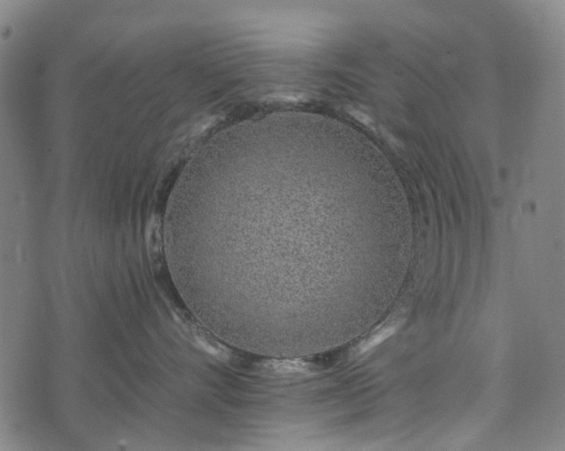 X0000074280528200609011345