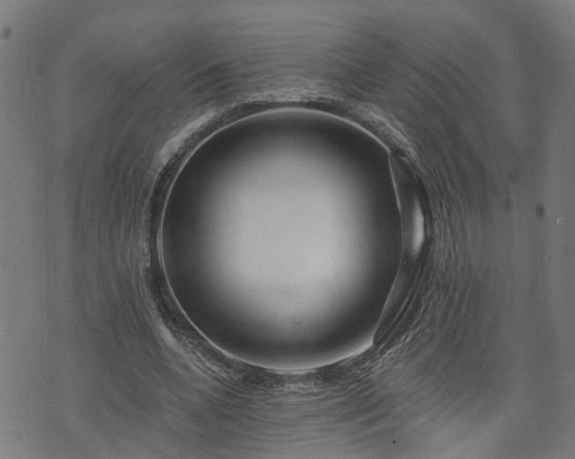X0000074280536200609011344