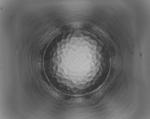 X0000074280553200609011344